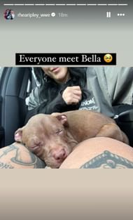 Rhea Ripley welcomed a new member to her family